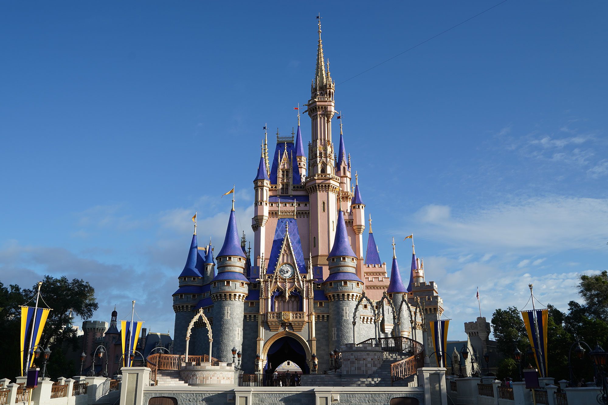Disney castle