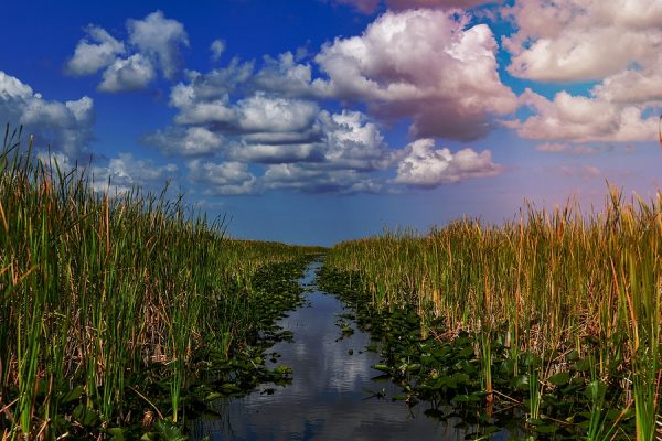 Budget-Friendly Theme Parks Near Kissimmee FL