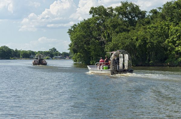 Adventures in Wild Florida