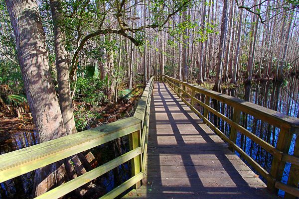 Best Walking Trails in Kissimmee