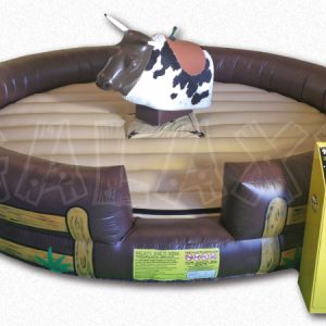 Mechanical Bull Rental