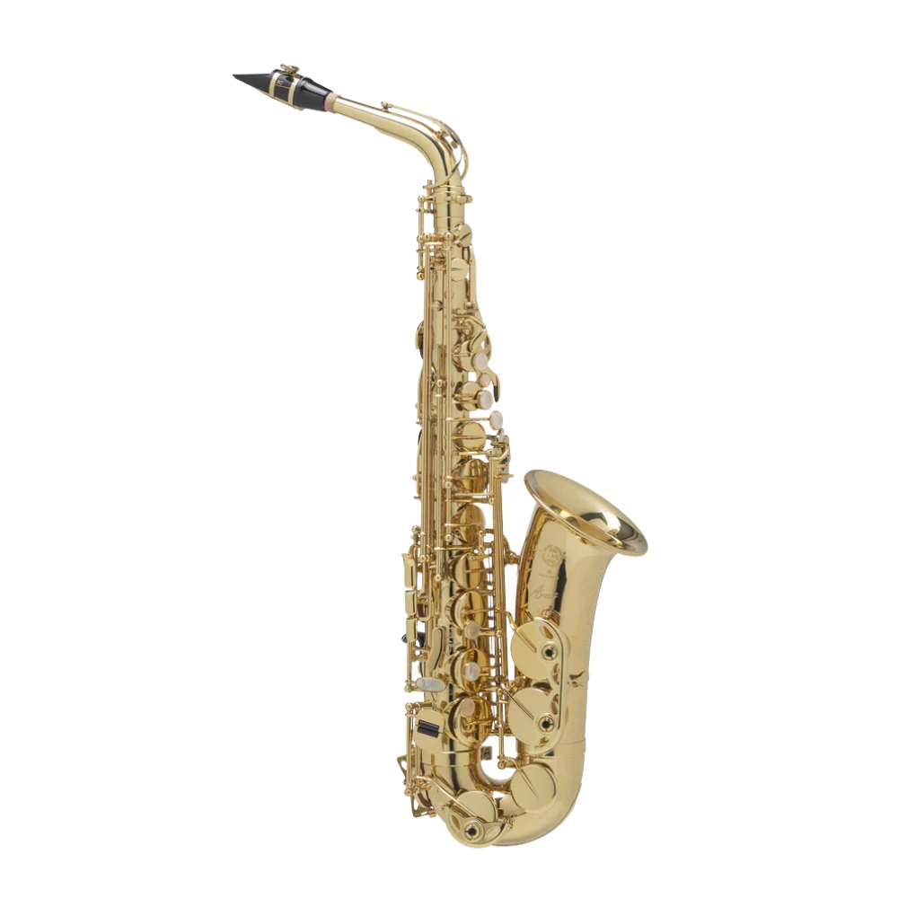 Selmer (Paris) Seles Alto Saxophone - AXOS Series