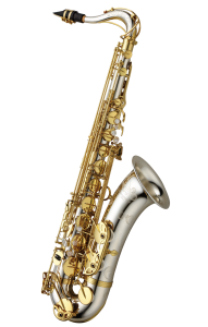 T-WO37 YANAGISAWA Tenor Saxophone