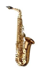 A-WO2 YANAGISAWA Alto Saxophone