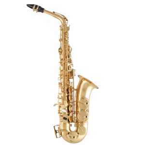 Selmer Intermediate Alto Saxophone