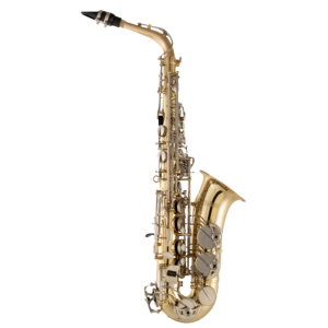 Selmer Student Alto Saxophone SAS301